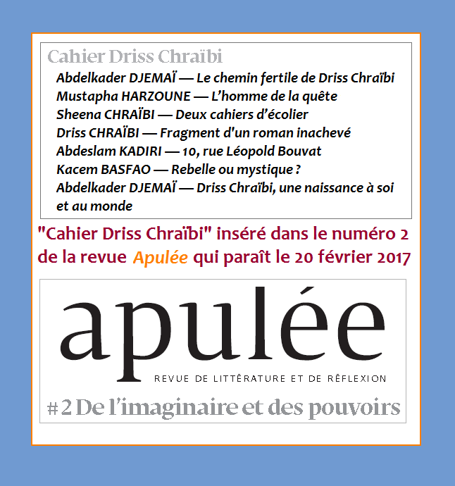 APULEE-2_Sommaire Cahier DC.png
